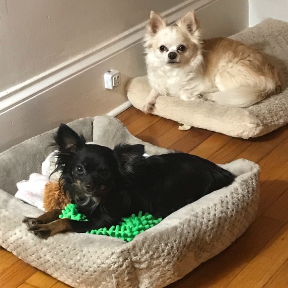 Meet your Posher, Elizabeth - Picture 3 of 8